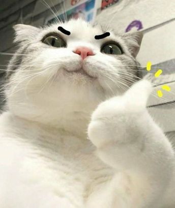 MÈO Dễ ThươNg HÌNh Vẽ Cute VớI NhữNg HọA TiếT Dễ ThươNg Xung Quanh
