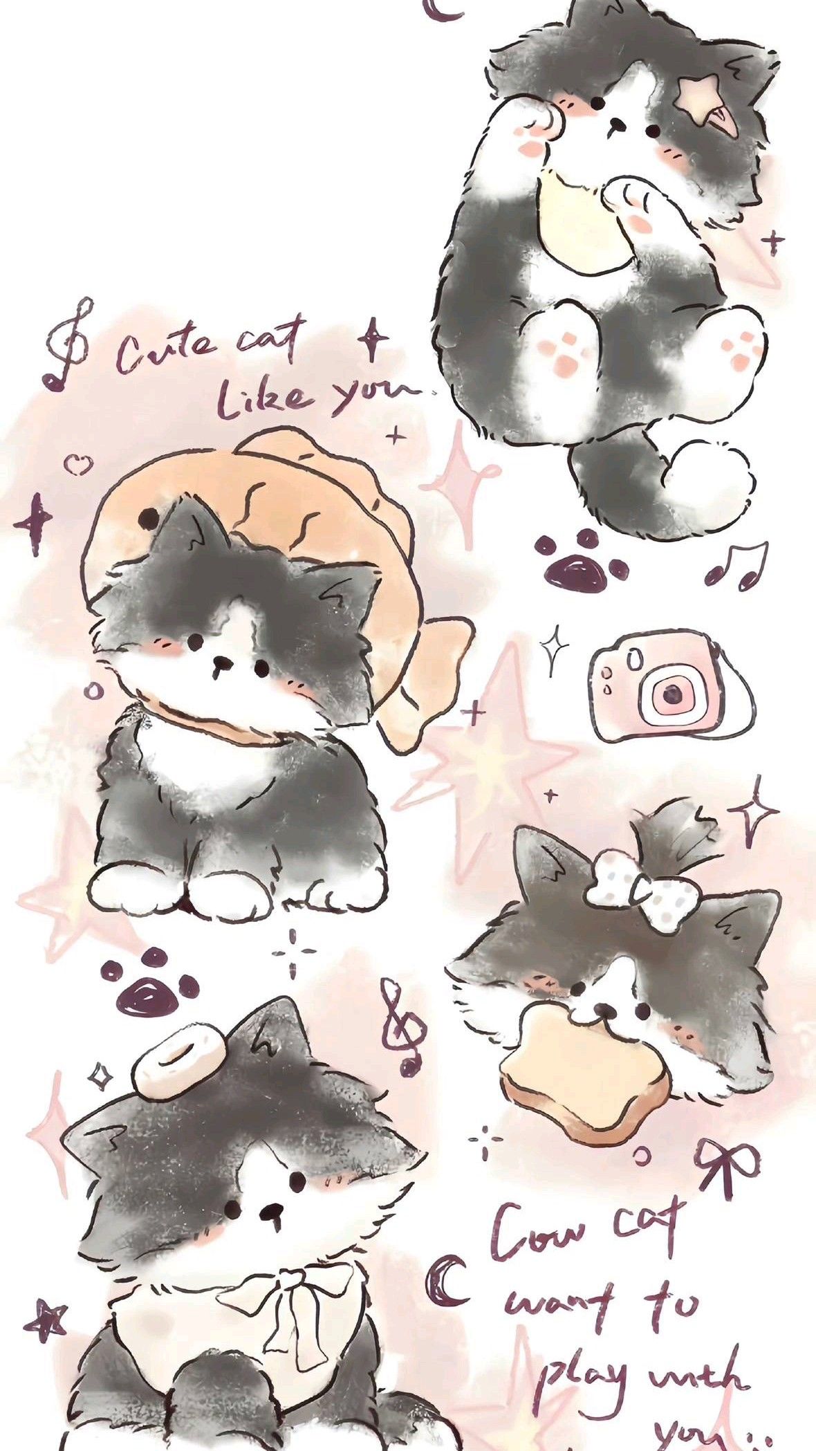 Vẽ HÌNh MÈO Cute VớI CặP MắT SÁNg Long Lanh